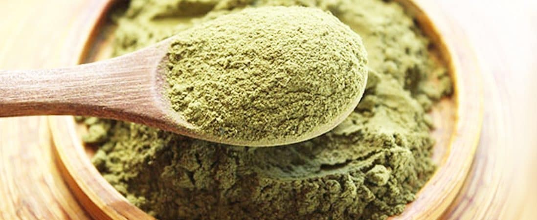 Découvrez Le Moringa