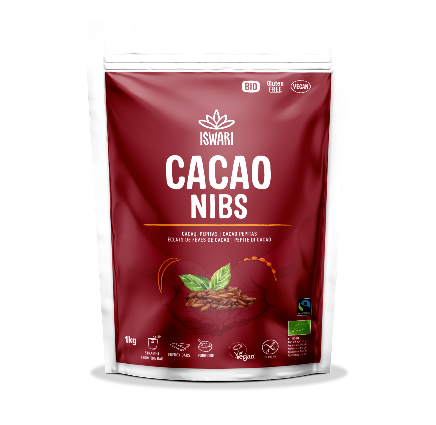 Pepitas de Cacao Bio 1