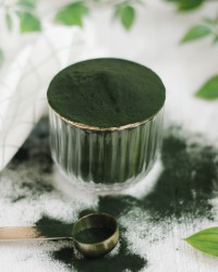 Chlorella en Poudre Bio 6