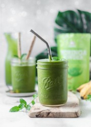 Moringa en Poudre Bio 2