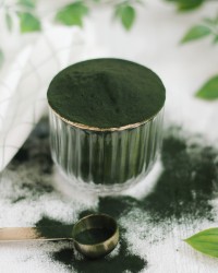 Chlorella in Polvere Bio 6