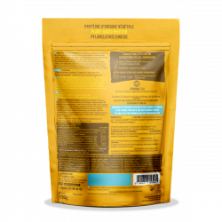 Super Vegan Protein Banana 2