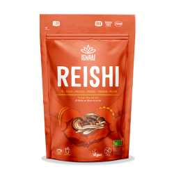 Cogumelos Reishi em Pó Bio