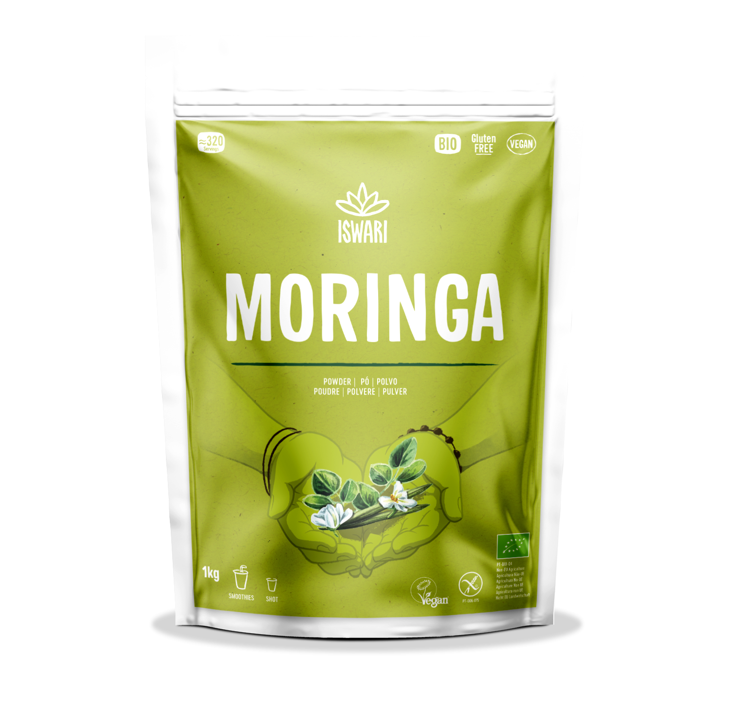 Moringa em Pó Bio 1